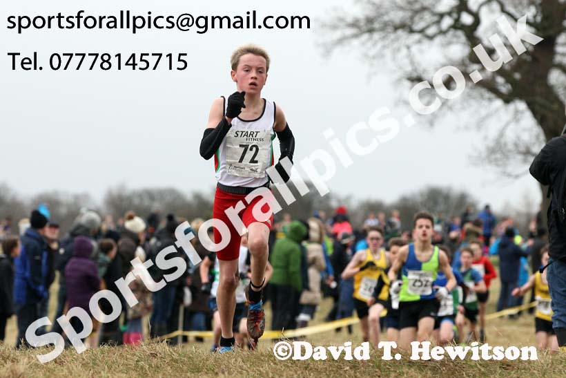 Boys under-13s, 2018 Northern Cross Country Champs., Harewood House, Leeds. Photo: David T. Hewitson/Sports for All Pics